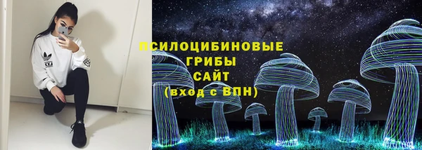 MDMA Premium VHQ Каменногорск