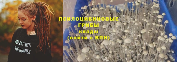 спайс Нязепетровск