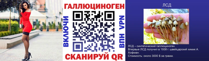 Псилоцибиновые грибы GOLDEN TEACHER  МЕГА ССЫЛКА  Купино 